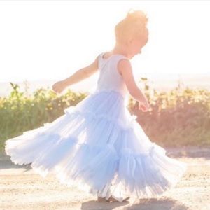 NWT. FIRM. Jennifer + June Frozen Princess Dress.